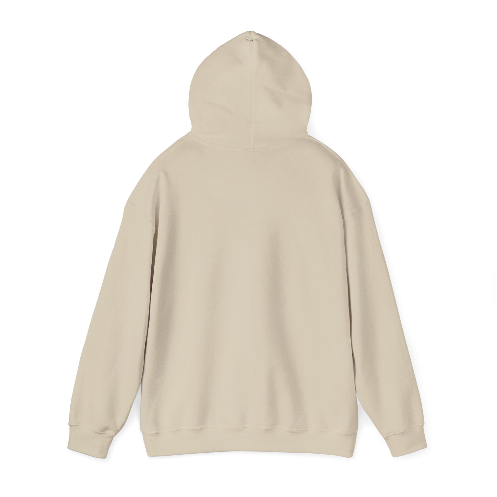 Vyce Logo Hoodie — Minimal Pullover with Cursive 'VYCE' Front Print