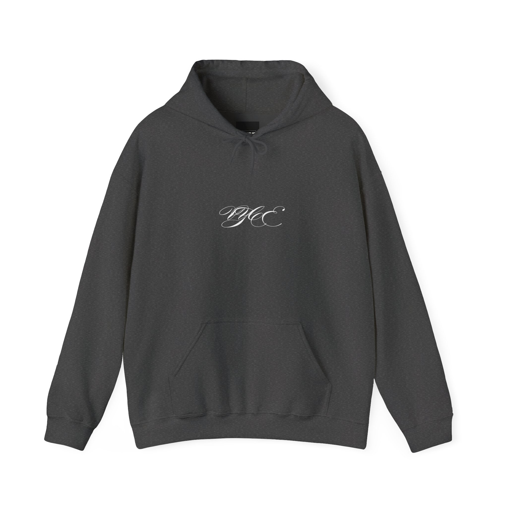 Vyce Logo Hoodie — Minimal Pullover with Cursive 'VYCE' Front Print